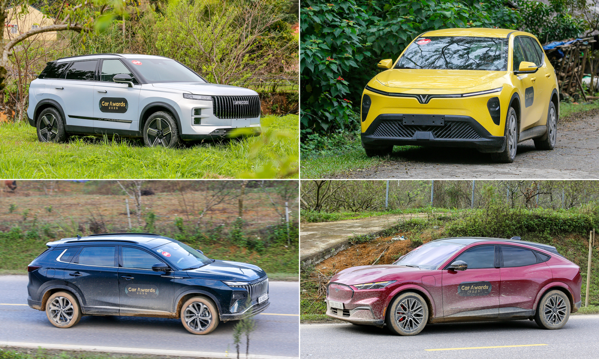 Những mẫu xe cạnh tranh Ôtô của năm 2025 thị trường Việt